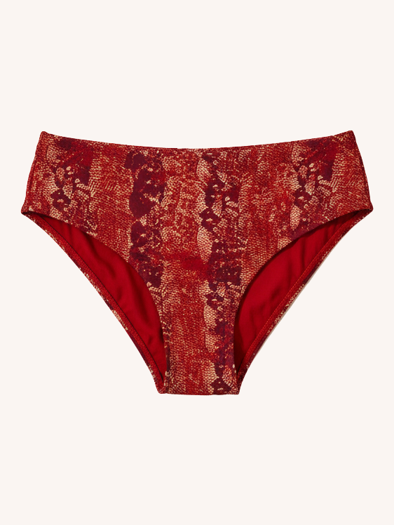 Playa Bottom | Iguana